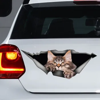 Наклейка на автомобиль с котенком, наклейка на автомобиль с котенком Мейн-куном, забавная наклейка, Наклейка на автомобиль с котенком